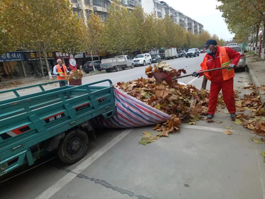 寒风瑟瑟袭潜城 黄叶飘落清扫忙