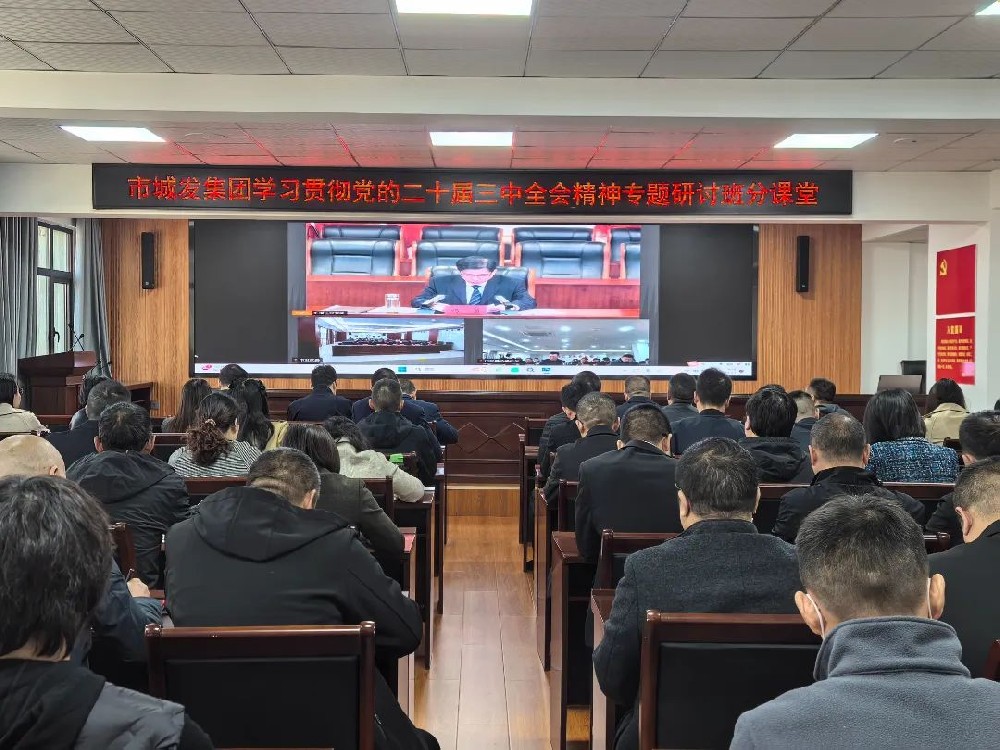 点点官网集团开展学习贯彻党的二十届三中全会精神专题研讨班分课堂活动