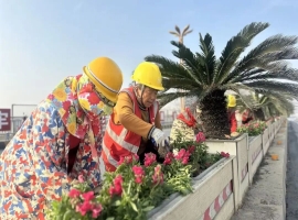 18 万株鲜花上线，潜江街头 “冬装” 焕新！